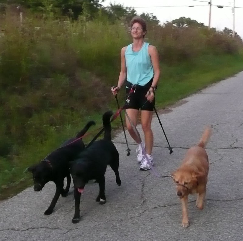 A woman with hiking poles is walking three dogs on leashes.